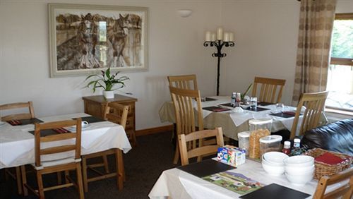 Dunhill Cottage B&B Hillsborough Extérieur photo